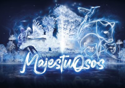 Majestuosos | Diseño y manejo de redes