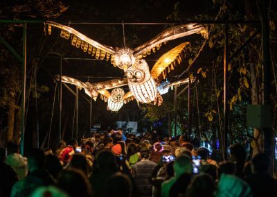 Majestuosos | Fotografía