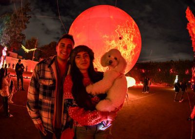 Diseño y Manejo de redes | Festival Brilla 2024