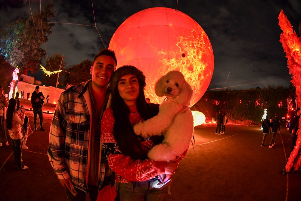 Diseño y Manejo de redes | Festival Brilla 2024