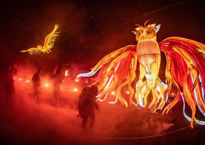 Fotografía y Producción Audiovisual | Festival Brilla